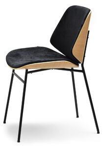 Z0ND0 Scaun Jordan (stejar negru + negru). 1111083