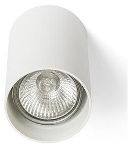 Spot GAYA 1xGU10/35W/230V alb RED-Design Rendl-R12667