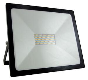 Proiector LED/50W/230V IP65