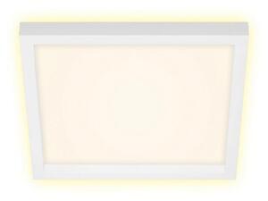 Plafonieră LED CADRE LED/18W/230V d. 29,6x29,6 cm albă Briloner 7362-016