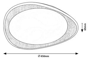 Rabalux 2427 - Plafonieră LED TAMINO LED/24W/230V