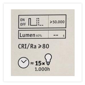 Bec LED reglabil CLASSIC G125 E27/4,5W/230V 2600K - Paulmann 28742