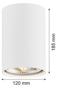 Spot TUBO AR111 1xGU10/15W/230V alb Argon 4910