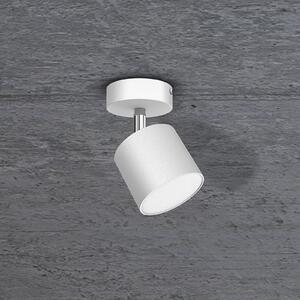 Eko-Light Spot de tavan Cloudy 1 bec alb, reglabil, Alb, Camera de zi / sufragerie, Metal, Modern