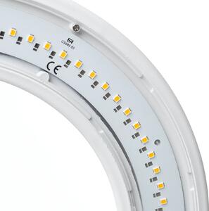 ICONE Vera LED de perete 930 Ø31cm alb/alb, reglabil, Alb, Camera de zi / sufragerie, Metal, Design, Plafon rotund direct
