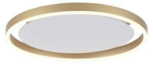 Plafonieră LED dimabilă RITUS LED/20W/230V Leuchten Direkt 15391-60