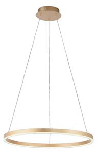 Lustră LED pe cablu dimabilă RITUS LED/28W/230V Leuchten Direkt 15394-60