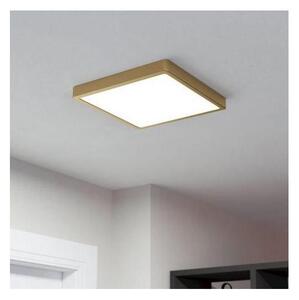 Plafonieră LED FUEVA LED/20,5W/230V Eglo 900184