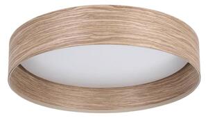 Plafonieră LED LUPPINERIA LED/24W/230V Eglo 900463