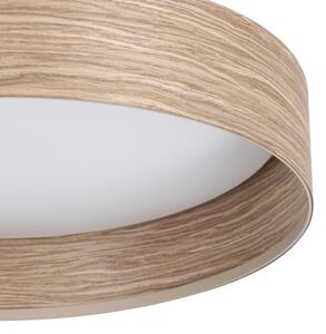 Plafonieră LED LUPPINERIA LED/24W/230V Eglo 900463
