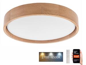 Plafonieră LED Brilagi MANAROLA SMART LED/24W/230V Tuya + telecomandă