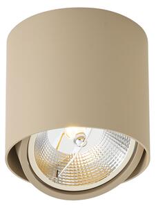 Spot de tavan modern, orientabil, taupe GU10 AR111 - Impact