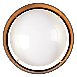 Plafonieră LED TULUZA LED/18W/230V d. 32 cm negru