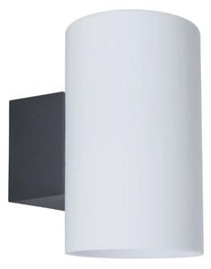 Aplică de exterior 1xE27/15W IP54 TUBE 230V Paulmann 94186