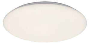 Rabalux RORIK 71124 - Plafonieră LED 24W, 230V, 4000K, 38 cm