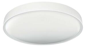 Plafonieră LED SAMER LED/24W/230V 4000K