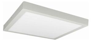 Plafonieră LED FENIX LED/32W/230V 3800K 40 cm alb