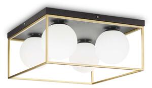 Plafonieră LINGOTTO 4xE14/40W/230V Ideal Lux