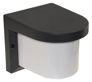Aplică de exterior PETUNIA 1xE27/60W/230V IP44 antracit
