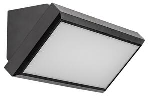 Aplică LED de exterior RAPLA LED/12W/230V IP54 Rabalux 7282