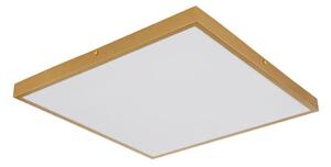 Plafonieră LED TIBEY LED/30W/230V 45x45 cm Globo 12382-30