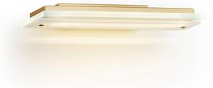 Aplică LED VELO LED/7,2W/230V 3000K auriu/transparent Argon 8363