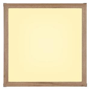 Plafonieră LED CARLA LED/24W/230V 45x45 cm Globo 41589D2