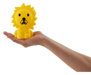 Lion Bundle Of Light - Mr. Maria