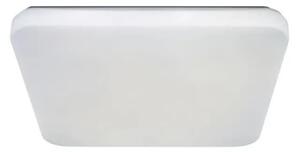 Plafonieră LED OPAL LED/48W/230V 3000-6500K + telecomandă