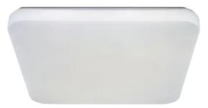 Plafonieră LED OPAL LED/36W/230V 3000-6500K + telecomandă
