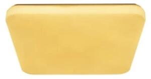 Plafonieră LED OPAL LED/36W/230V 3000-6500K + telecomandă