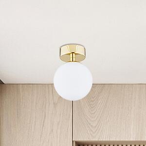 Argon Flavio lampă de tavan 1x7 W alamă-opal 4004