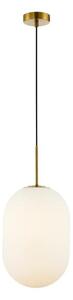 Lustră pe cablu ALIAS 1xE14/40W/230V d. 24 cm auriu
