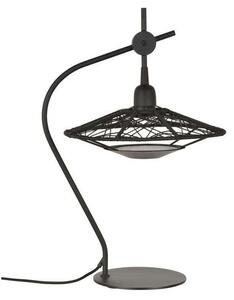 Carpa Veioză Black - Forestier