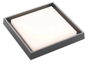 Birta LED Square Plafonieră de Exterior 27x27 Dark Grey - Lucande