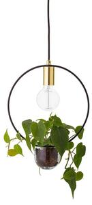 Caralina Plant 2 Lustră Pendul Gold - Bloomingville