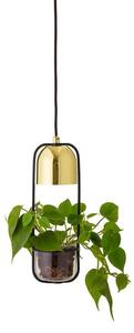Gullak Plant Lustră Pendul Gold - Bloomingville