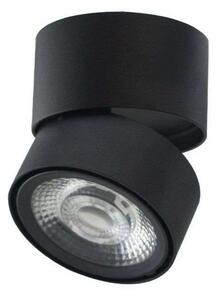 Ray Spot Black - Loom Design
