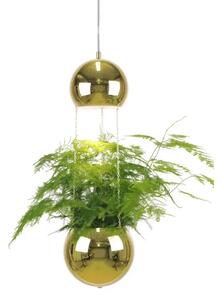 Mini Planter Lustră Pendul Brass - Globen Lighting
