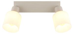 Globo 54114-2 - Spot TRENT 2xE14/25W/230V