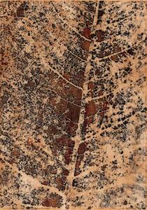 Covor lana Paulus coppery Selectează mărime: 133 X 180