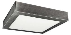 LED Plafonieră FENIX LED/24W/230V 2800K 29,8 cm