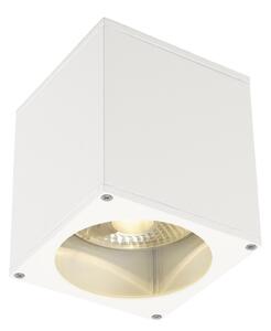 SLV Plafonieră de exterior Big Theo, alb, reglabil, Alb, Metal, Modern