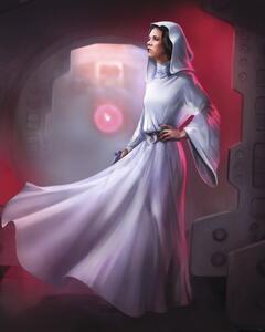 Fototapet vlies DX4-046 Disney Edition 4 Star Wars Classic Leia 200x250 cm