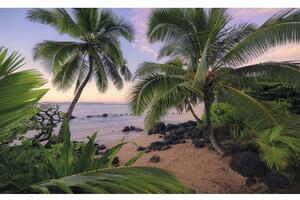 Fototapet vlies SHX9-116 Hawaiian Dreams 450x280 cm