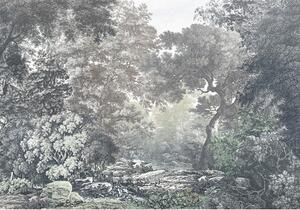 Fototapet vlies R4-060 Fairytale Forest 400x280 cm