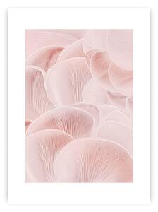 Poster Pastel Pink