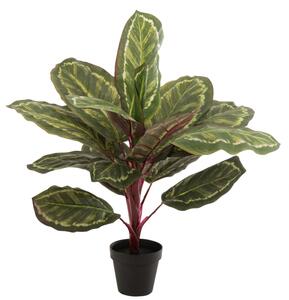 Planta in ghiveci, Plastic, Verde, 15x15x60 cm