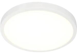 Panou cu LED integrat Erste 48W 4080 lumeni Ø50cm, montaj aplicat, lumină neutră, alb