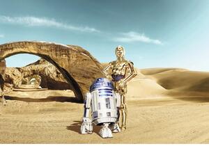 Fototapet hârtie 8-484 Disney Edition 4 Star Wars Lost Droids 368x254 cm